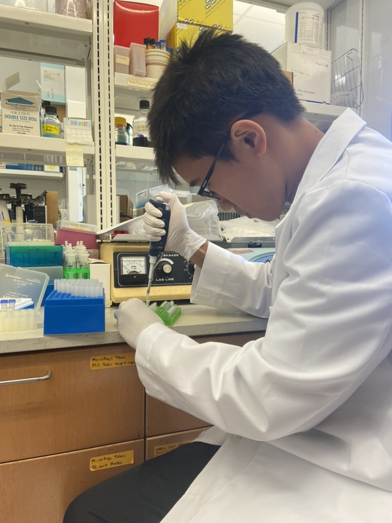 Doing Experiments at Zhu Lab (KU)